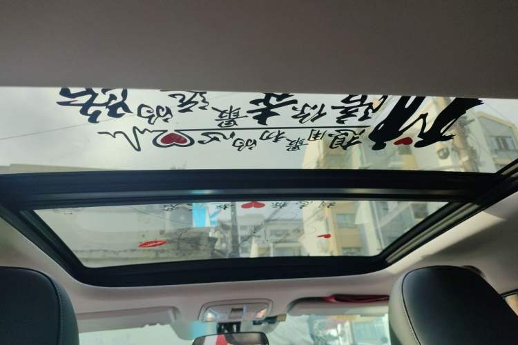 Used AION S 2020 Meizu 580 Headliner