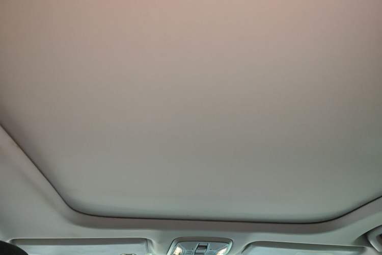 Used AION S 2020 Meizu 580 Headliner