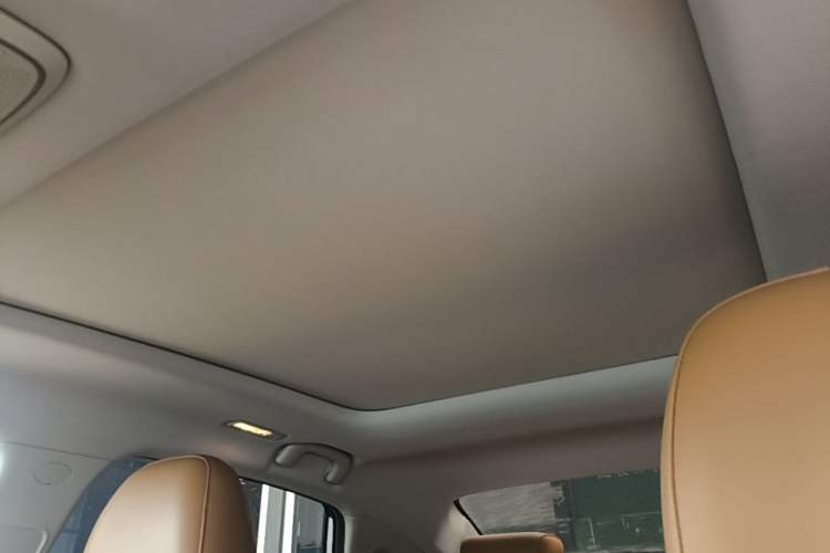 Used AION S 2020 Meizu 580 Travel Standard Edition Headliner