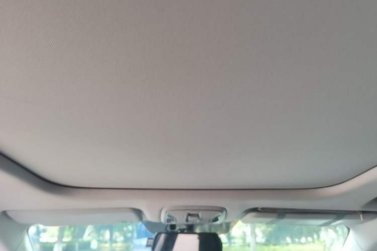 Used AION S 2020 Meizu 580 Headliner