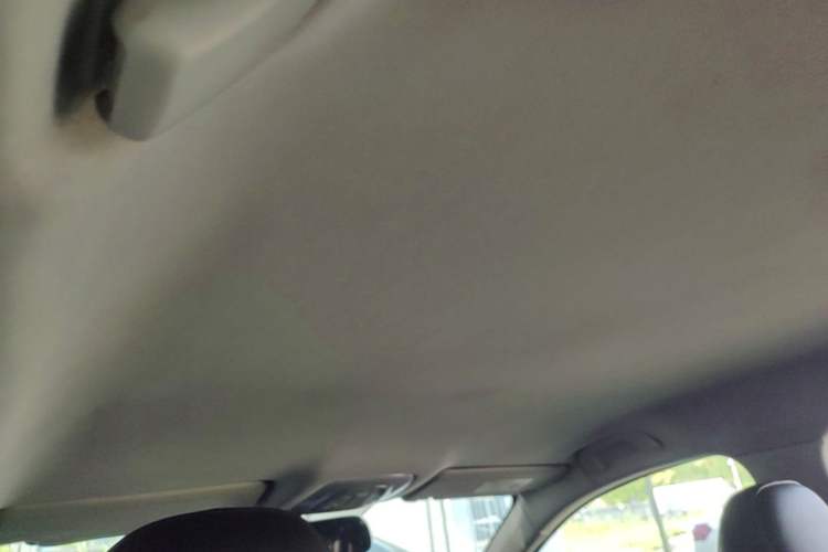 Used AION S 2020 Xuan 580 Headliner