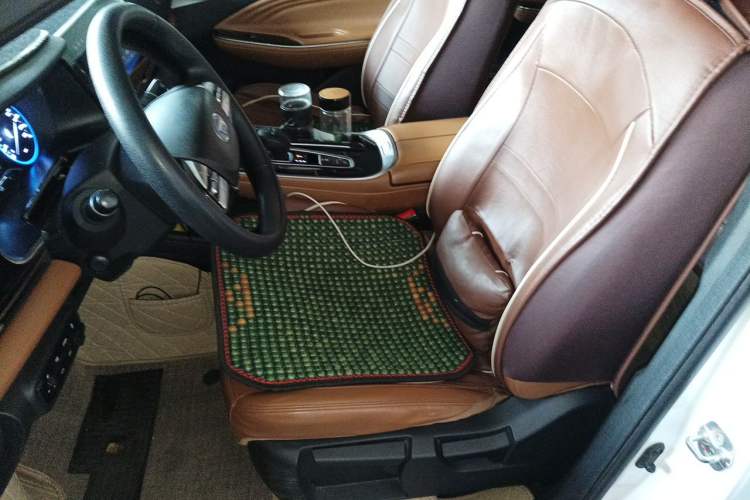 Used AION S 2020 Meizu 580 Pio Left Front Seat