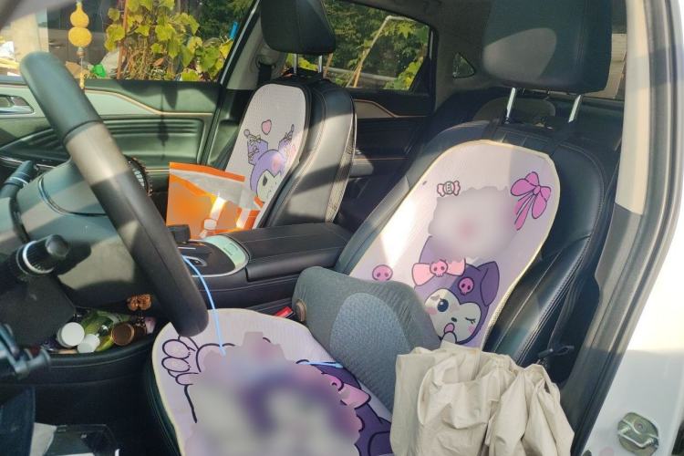 Used AION S 2020 Meizu 580 Left Front Seat