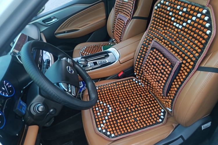 Used AION S 2020 Meizu 580 Left Front Seat