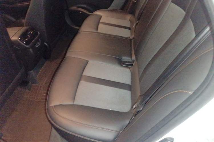 Used AION S 2020 Meizu 580 Pio Left Rear Seat