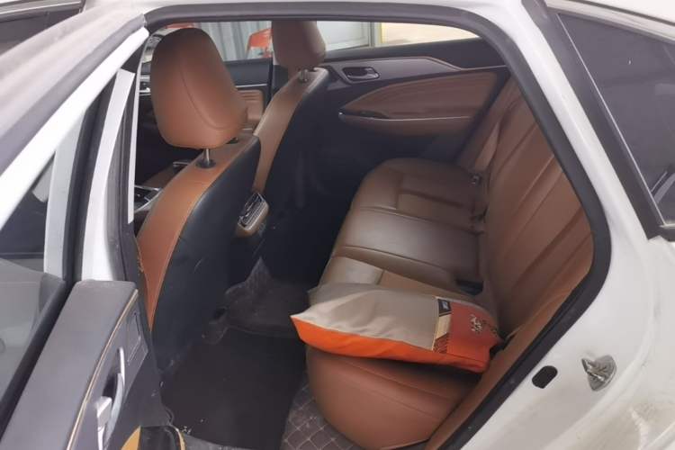 Used AION S 2020 Meizu 580 Left Rear Seat