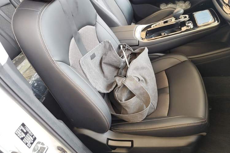Used AION S 2020 Meizu 580 Pio Right Front Seat