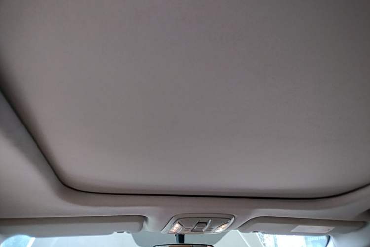 Used AION S 2022 Meizu 580 Headliner