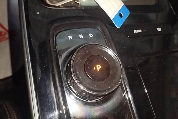Used AION S 2022 Meizu 580 Gear Lever