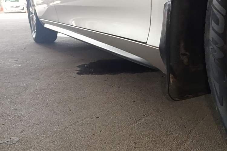 Used AION S 2022 Meizu 580 Right Side Sill