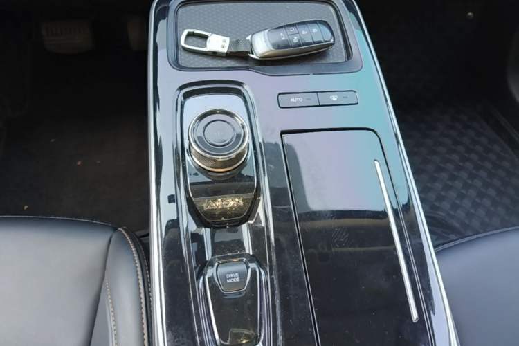 Used AION S 2022 Meizu 580 Gear Lever