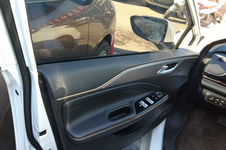 Used AION S 2022 Meizu 580 Left Front Door Interior