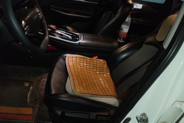 Used AION S 2022 Meizu 580 Pio Left Front Seat