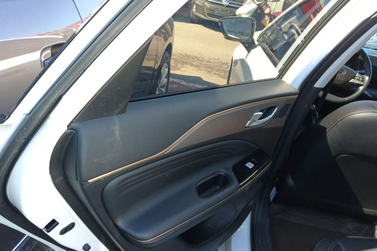 Used AION S 2022 Meizu 580 Left Rear Door Interior