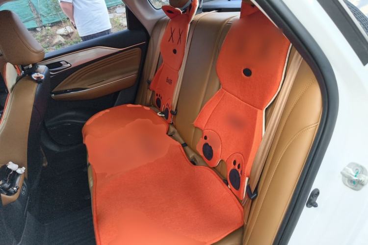 Used AION S 2022 Meizu 580 Pio Left Rear Seat