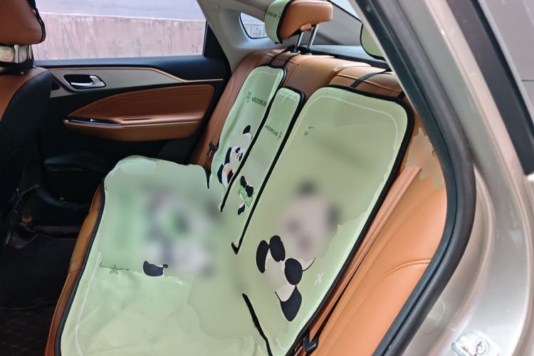 Used AION S 2023 Meizu 580 Lithium Iron Phosphate Left Rear Seat