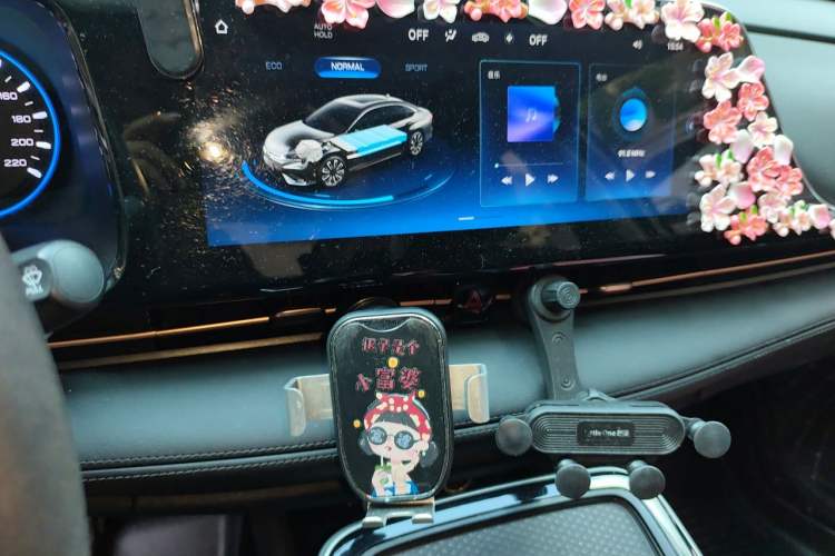 Used AION S 2023 Meizu 580 Lithium Iron Phosphate Audio And AC Panel