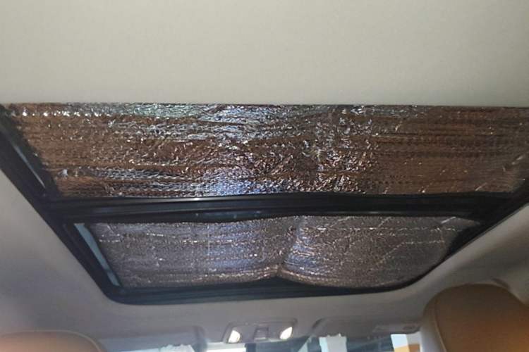 Used AION S 2023 Meizu 580 Lithium Iron Phosphate Headliner