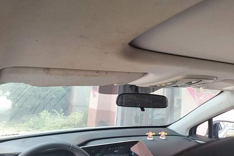 Used AION S 2023 Meizu 580 Lithium Iron Phosphate Headliner
