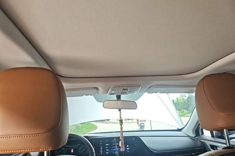 Used AION S 2023 Meizu 580 Lithium Iron Phosphate Headliner
