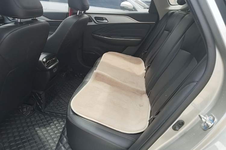 Used AION S 2023 Meizu 580 Lithium Iron Phosphate Left Rear Seat