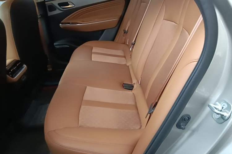 Used AION S 2023 Meizu 580 Lithium Iron Phosphate Left Rear Seat