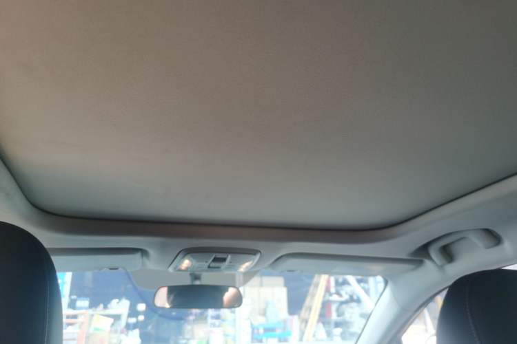 Used AION S  Headliner