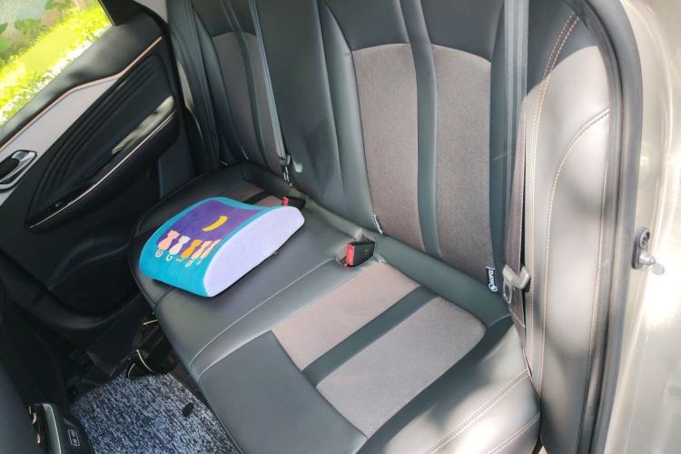 Used AION S 2023 Meizu 580 Lithium Iron Phosphate Left Rear Seat