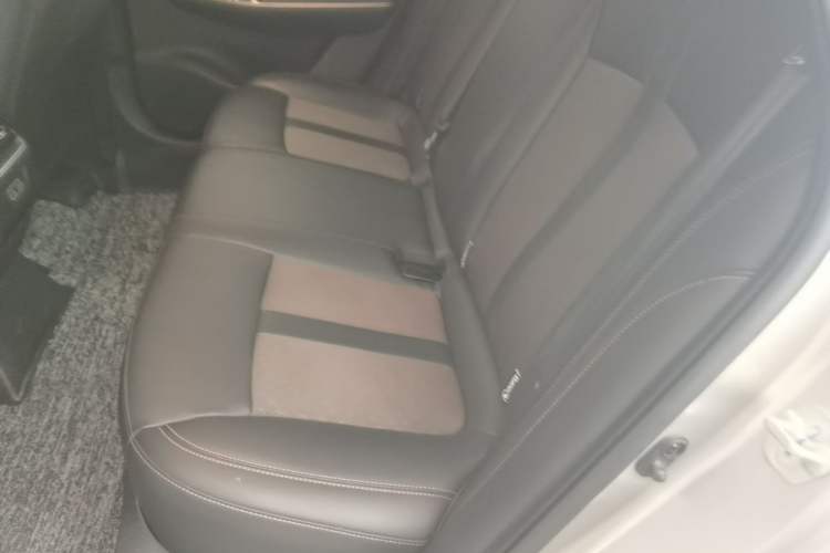 Used AION S 2023 Meizu 580 Lithium Iron Phosphate Left Rear Seat