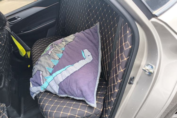 Used AION S 2023 Meizu 580 Lithium Iron Phosphate Left Rear Seat