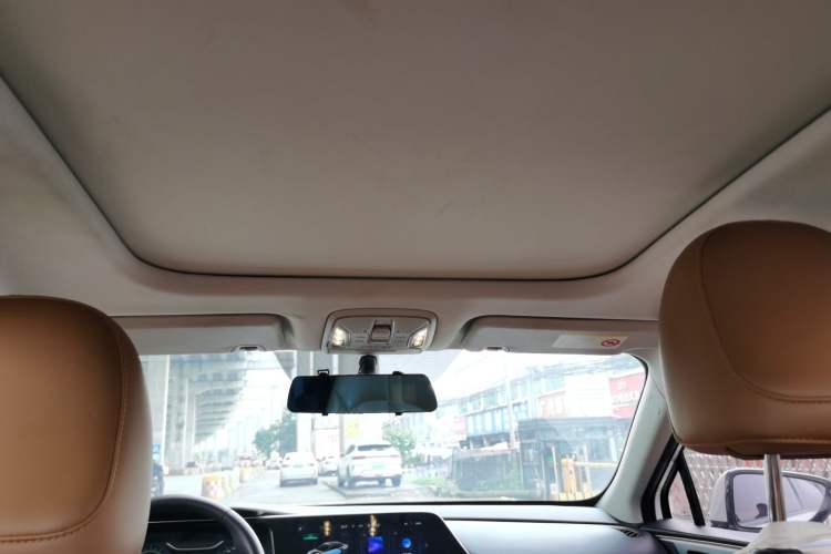 Used AION S 2023 Meizu 580 Lithium Iron Phosphate Headliner