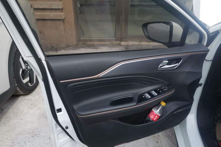 Used AION S 2023 Meizu 580 Lithium Iron Phosphate Left Front Door Interior