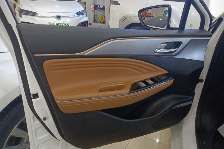 Used AION S 2023 Meizu 580 Lithium Iron Phosphate Left Front Door Interior