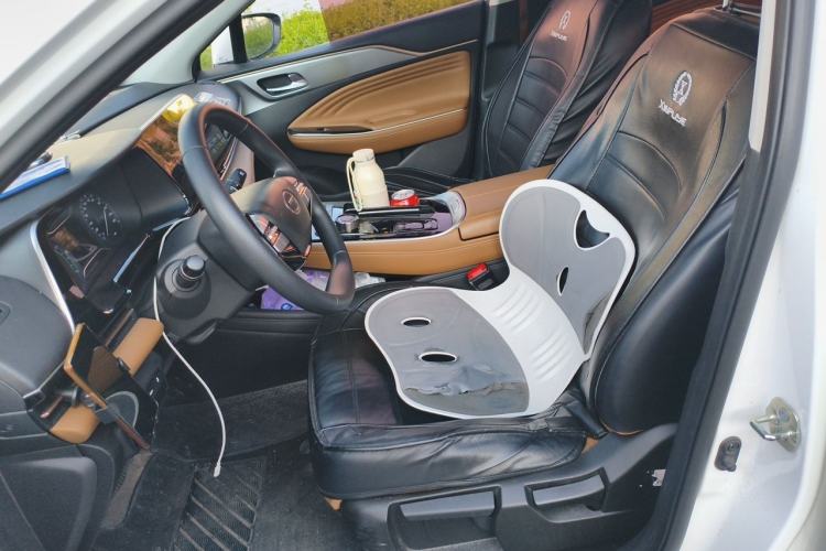 Used AION S 2023 Meizu 580 Lithium Iron Phosphate Left Front Seat