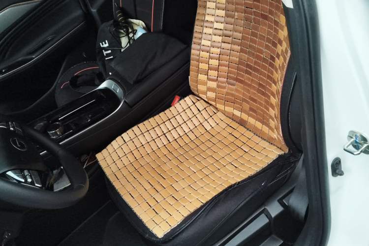 Used AION S 2023 Meizu 580 Lithium Iron Phosphate Left Front Seat