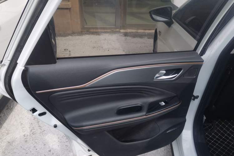 Used AION S 2023 Meizu 580 Lithium Iron Phosphate Left Rear Door Interior