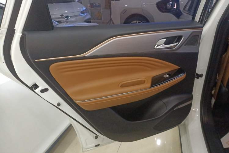 Used AION S 2023 Meizu 580 Lithium Iron Phosphate Left Rear Door Interior