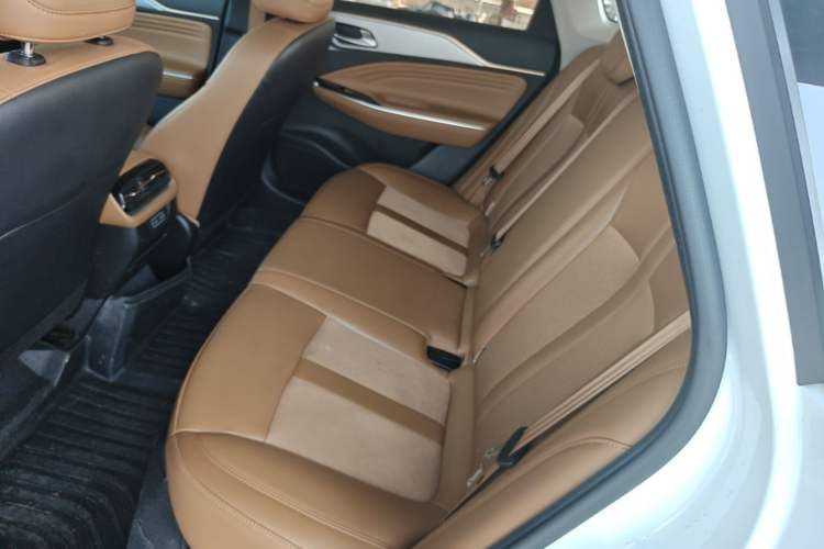 Used AION S 2023 Meizu 580 Lithium Iron Phosphate Left Rear Seat