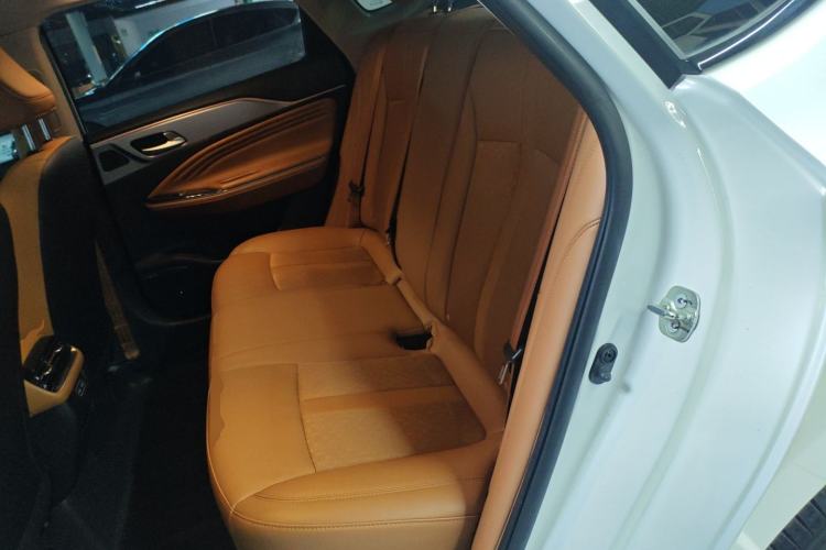 Used AION S 2023 Meizu 580 Lithium Iron Phosphate Left Rear Seat