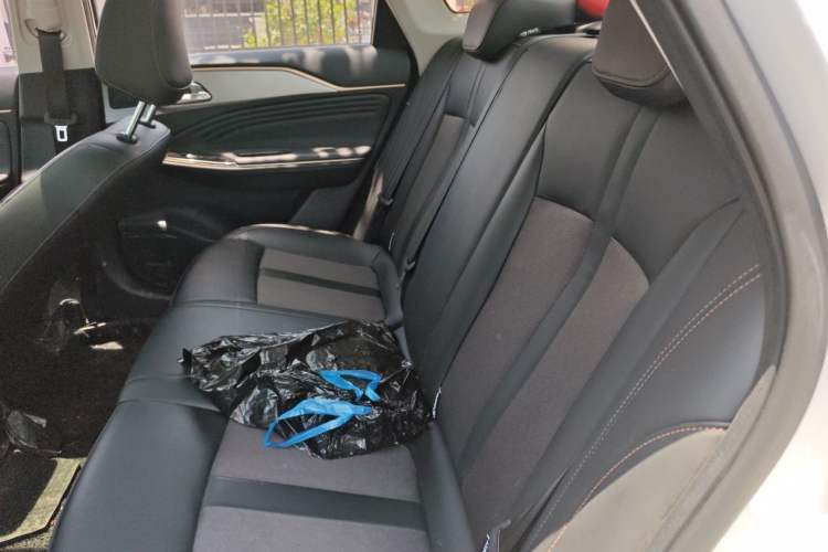 Used AION S 2023 Meizu 580 Lithium Iron Phosphate Left Rear Seat