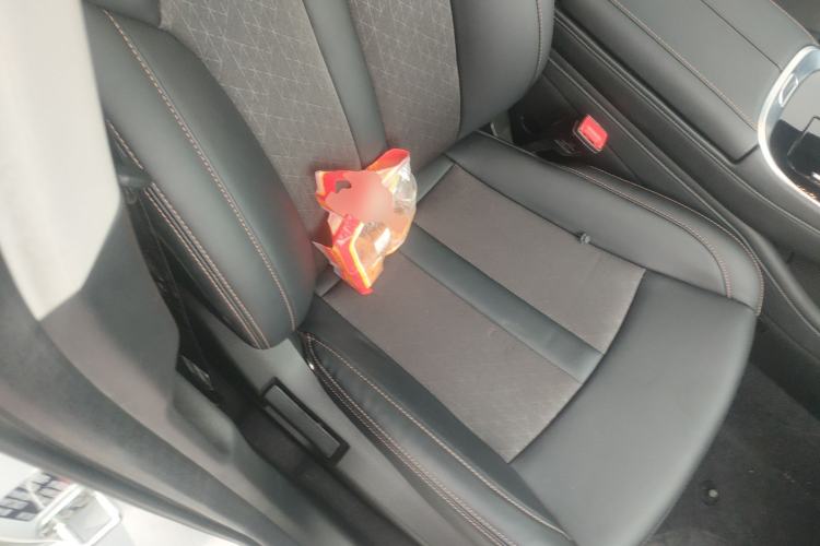 Used AION S 2023 Meizu 580 Lithium Iron Phosphate Right Front Seat