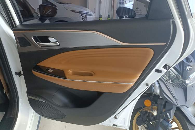 Used AION S 2023 Meizu 580 Lithium Iron Phosphate Right Rear Door Interior