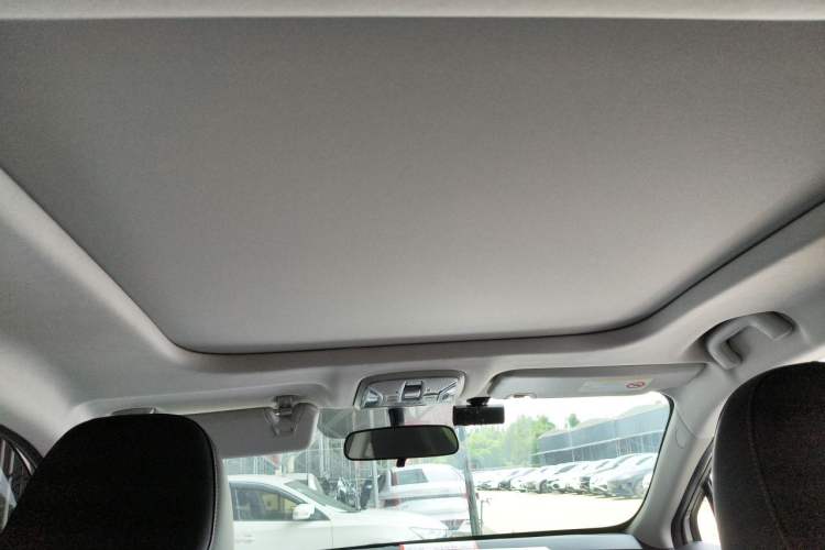 Used AION S  Headliner