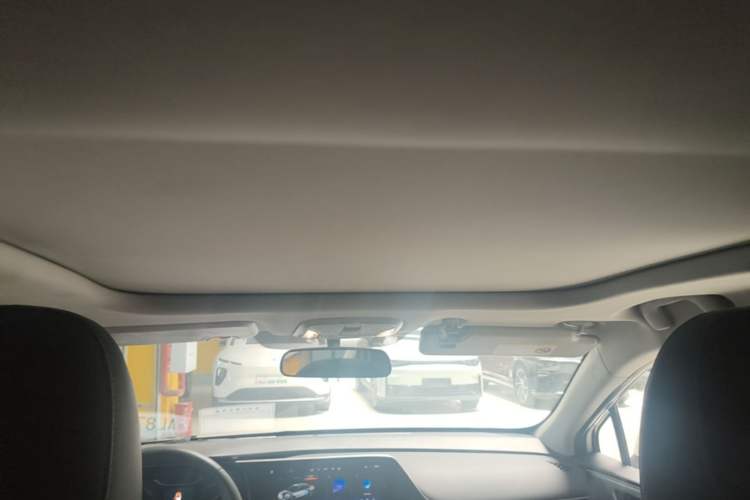 Used AION S  Headliner