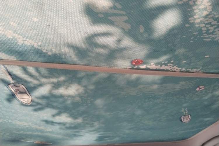 Used AION S MAX 2024 70 Star Edition Headliner