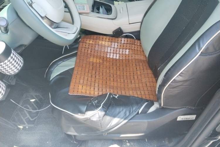 Used AION S MAX 2024 70 Star Edition Left Front Seat