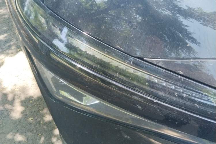 Used AION S MAX 2024 70 Star Edition Right Front Headlight