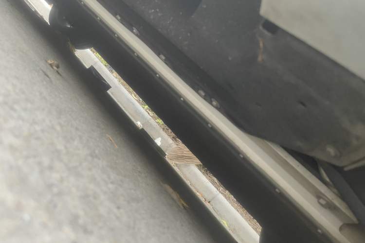 Used AION S MAX 2024 70 Star Edition Chassis Rear Left