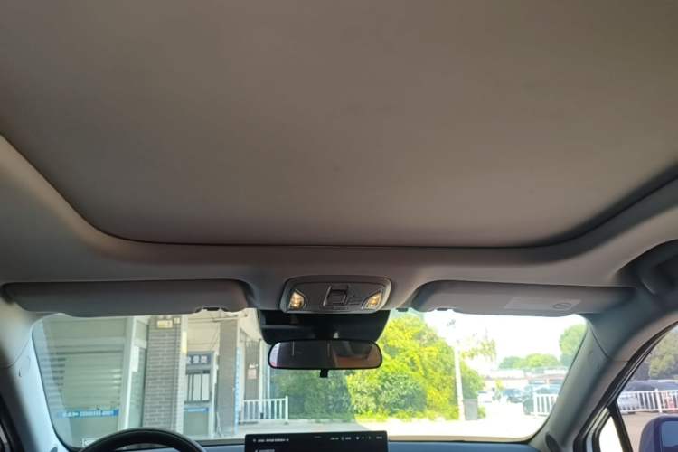 Used AION S MAX 2024 70 Star Edition Headliner