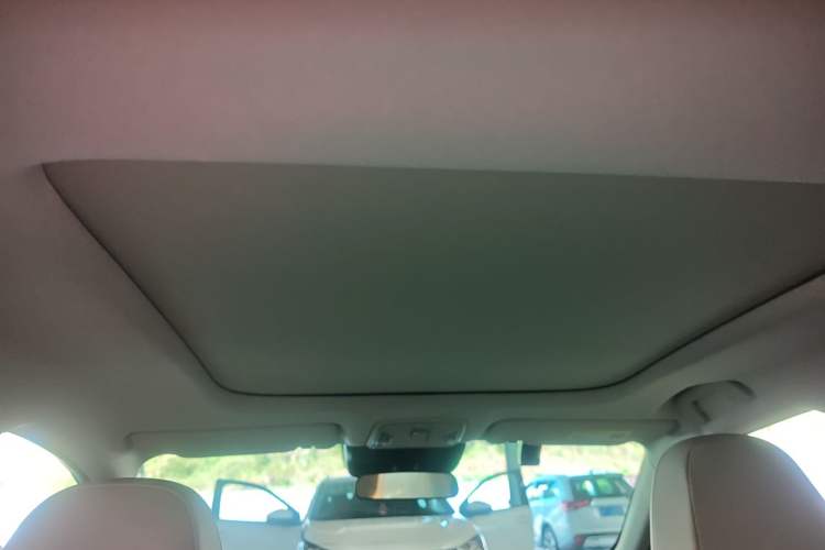 Used AION S MAX 2024 70 Star Edition Headliner